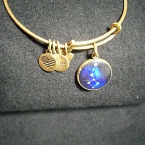 Alex and Ani "little Dipper" adjustable bangle bracelet.